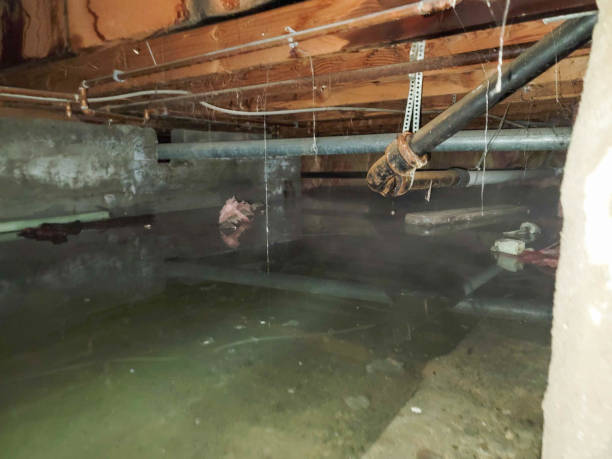 Best Water damage restoration near me  in Putnam Lake, NY