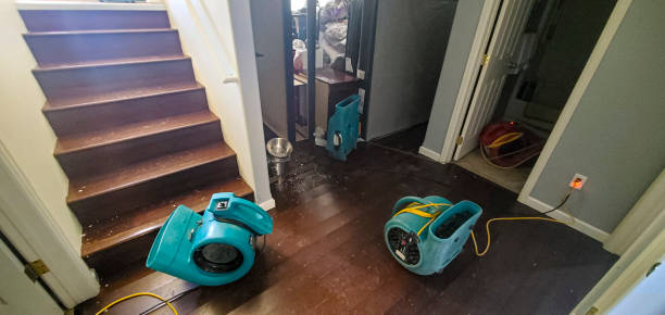 Best Residential water damage restoration  in Putnam Lake, NY