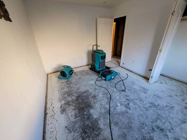 Best Ceiling water damage repair  in Putnam Lake, NY