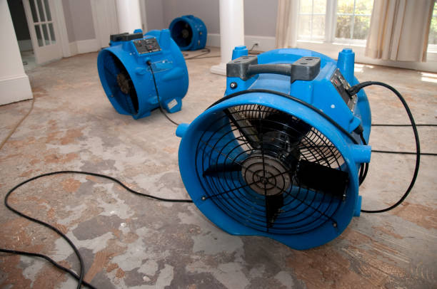 Best Fire Damage Restoration  in Putnam Lake, NY