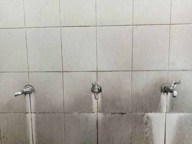 Best Water damage cleanup near me  in Putnam Lake, NY