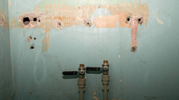 Best Mold removal after water damage  in Putnam Lake, NY